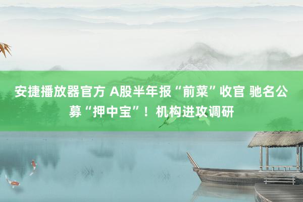 安捷播放器官方 A股半年报“前菜”收官 驰名公募“押中宝”！机构进攻调研