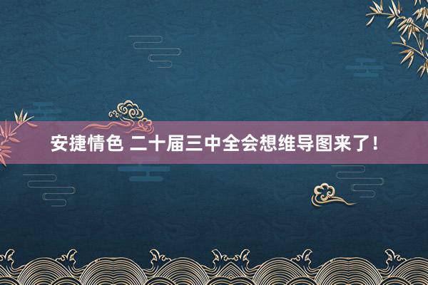 安捷情色 二十届三中全会想维导图来了！