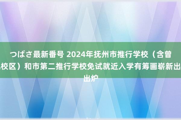 つばさ最新番号 2024年抚州市推行学校（含曾巩校区）和市第二推行学校免试就近入学有筹画崭新出炉
