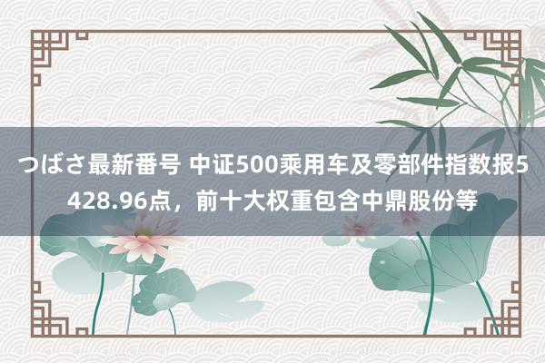 つばさ最新番号 中证500乘用车及零部件指数报5428.96点，前十大权重包含中鼎股份等