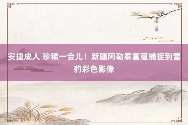 安捷成人 珍稀一会儿！新疆阿勒泰富蕴捕捉到雪豹彩色影像