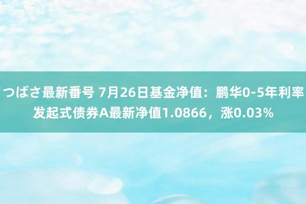つばさ最新番号 7月26日基金净值：鹏华0-5年利率发起式债券A最新净值1.0866，涨0.03%