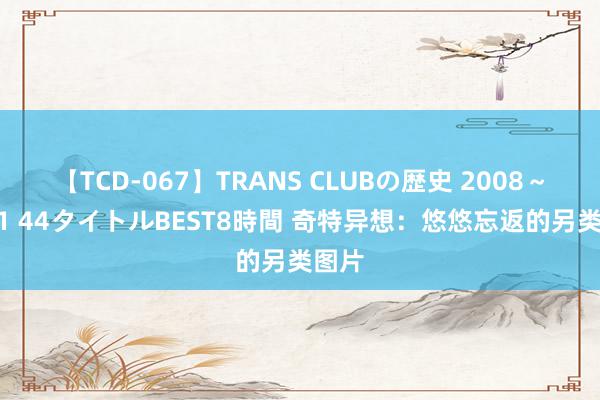 【TCD-067】TRANS CLUBの歴史 2008～2011 44タイトルBEST8時間 奇特异想：悠悠忘返的另类图片