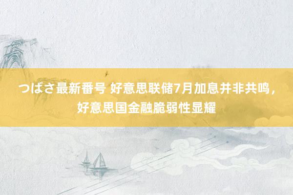 つばさ最新番号 好意思联储7月加息并非共鸣，好意思国金融脆弱性显耀