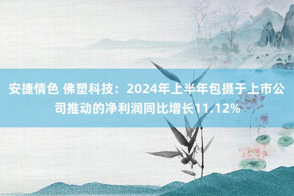 安捷情色 佛塑科技：2024年上半年包摄于上市公司推动的净利润同比增长11.12%