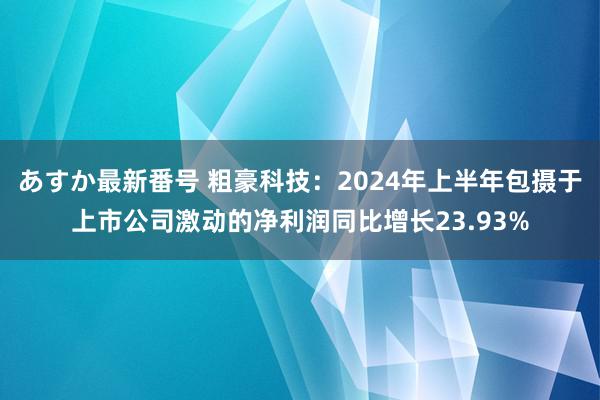 あすか最新番号 粗豪科技：2024年上半年包摄于上市公司激动的净利润同比增长23.93%
