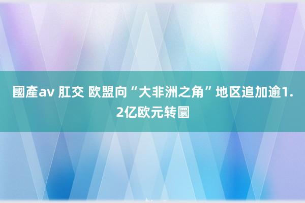 國產av 肛交 欧盟向“大非洲之角”地区追加逾1.2亿欧元转圜