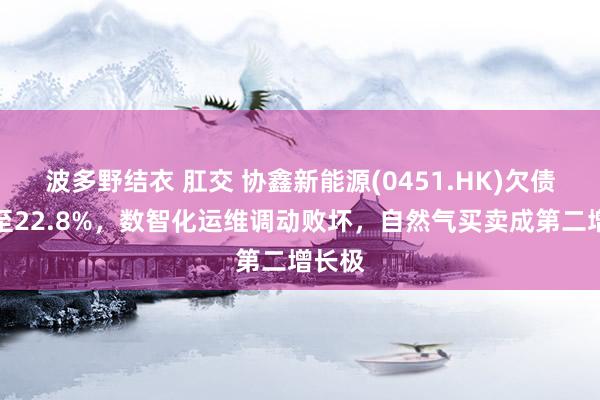 波多野结衣 肛交 协鑫新能源(0451.HK)欠债率降至22.8%，数智化运维调动败坏，自然气买卖成第二增长极