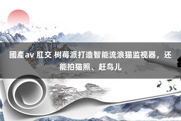 國產av 肛交 树莓派打造智能流浪猫监视器，还能拍猫照、赶鸟儿