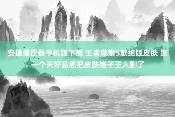 安捷播放器手机版下载 王者荣耀5款绝版皮肤 第一个天好意思把皮肤格子王人删了