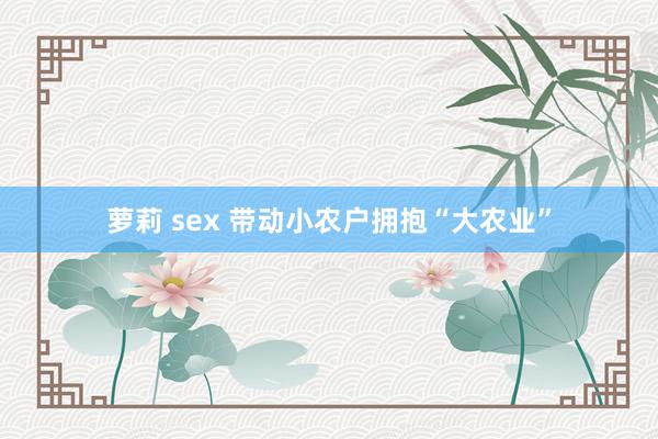 萝莉 sex 带动小农户拥抱“大农业”