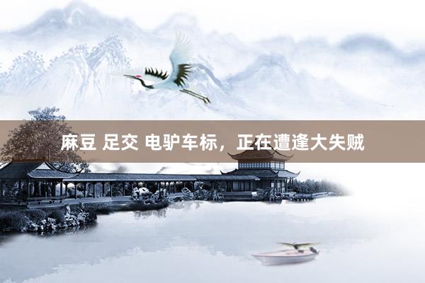麻豆 足交 电驴车标，正在遭逢大失贼